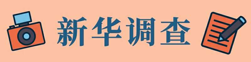 图为:新华视点
