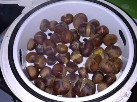 图为:板栗